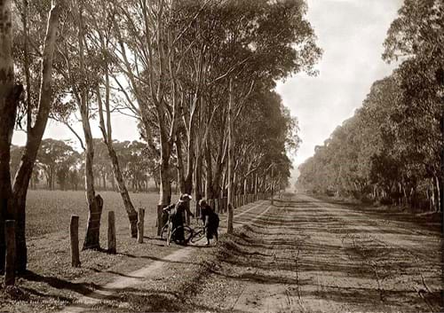 Brighton  Road,1903