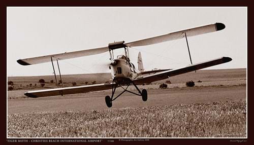 Tiger Moth,  Christies Beach International SA