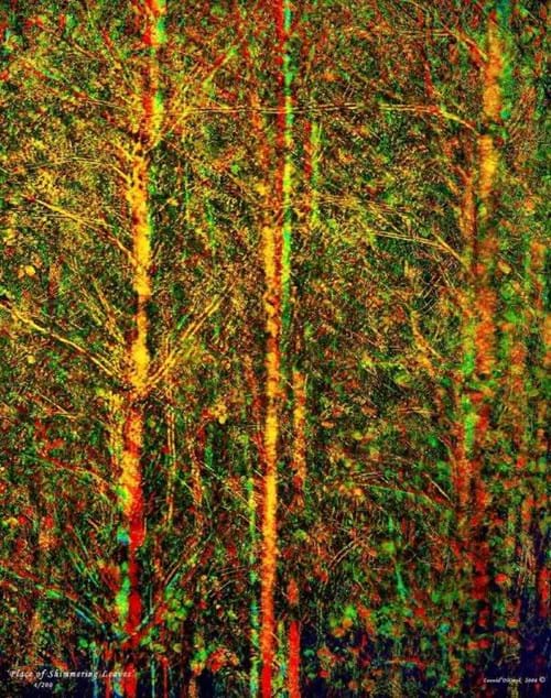 Landscape Photography for Sale Photographic Art Gallery